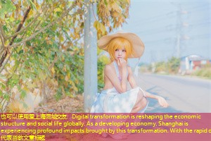 Digital transformation is reshaping the economic structure and social life globally. As a developing economy, Shanghai is experiencing profound impacts brought by this transformation. With the rapid d